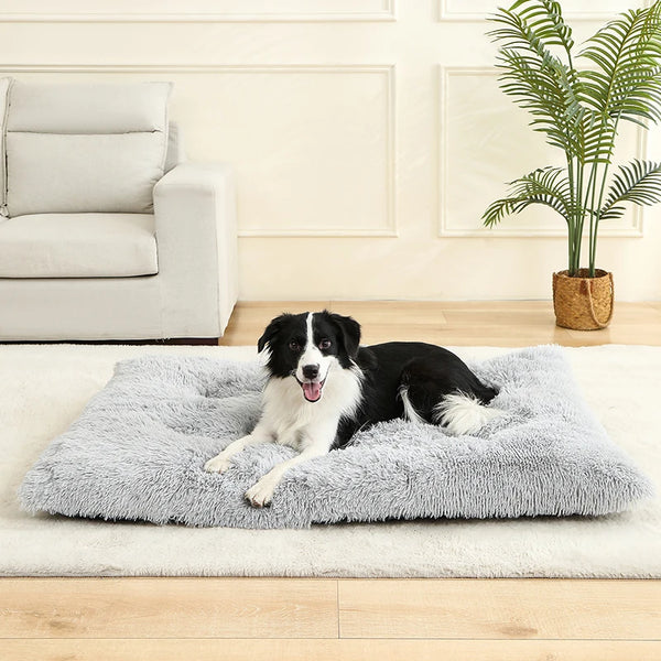"Ultimate Comfort Plush Pet Bed"