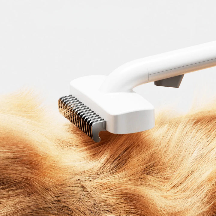"Efficient Stainless Steel Pet Comb" - Image 5