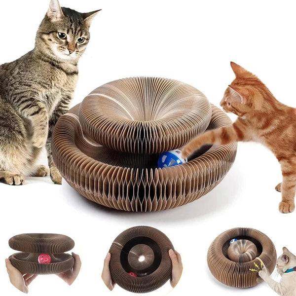 "Magic Organ Durable Cat Scratcher Toy"
