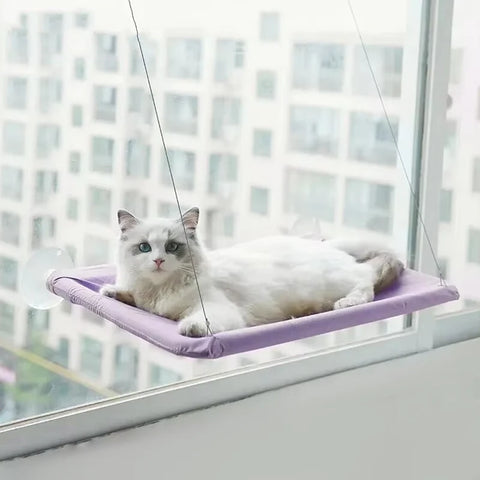 Hammock Purrfection