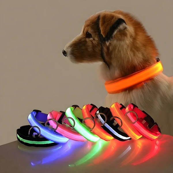 "LED Night Safety Dog Collar"