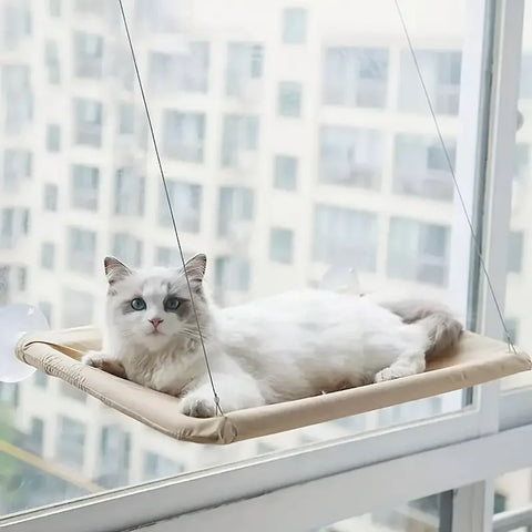 Hammock Purrfection