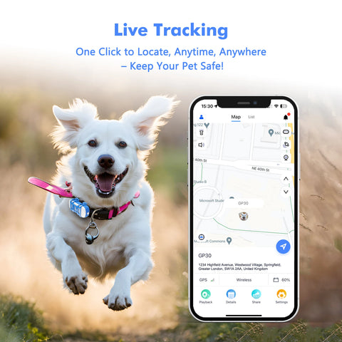 PawTrack